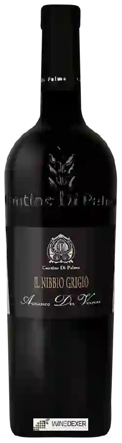 Weingut Cantine di Palma - Il Nibbio Grigio Aglianico del Vulture