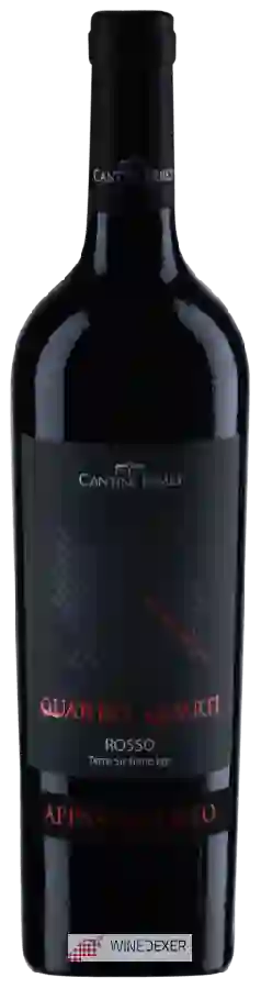 Weingut Cantine Ermes - Quattro Quarti Appassimento Rosso