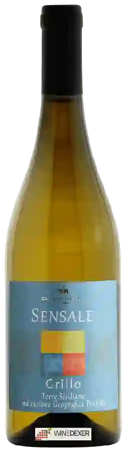 Weingut Cantine Europa - Sensale Grillo Weingut Cantine Europa - Sensale Grillo