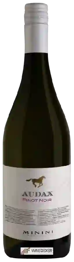 Weingut Cantine Minini - Audax Pinot Noir
