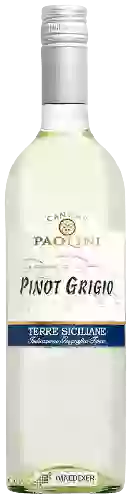 Weingut Cantine Paolini - Pinot Grigio