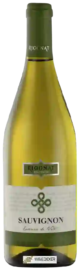 Weingut Cantine Rigonat - Sauvignon Weingut Cantine Rigonat - Sauvignon