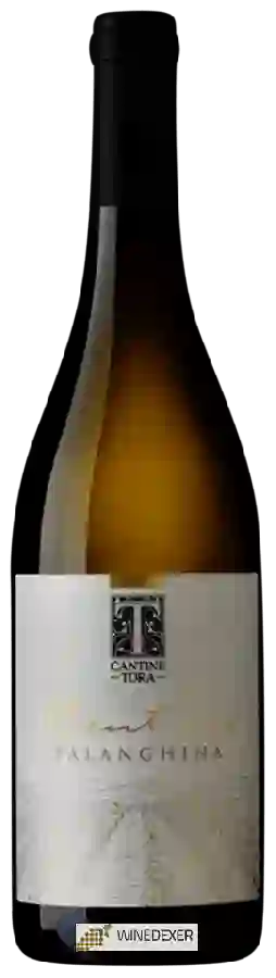Weingut Cantine Tora - Cent'Ore Falanghina Weingut Cantine Tora - Cent'Ore Falanghina