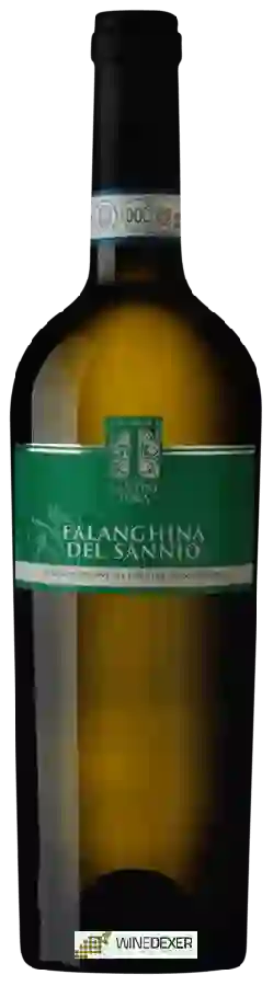 Weingut Cantine Tora - Falanghina del Sannio