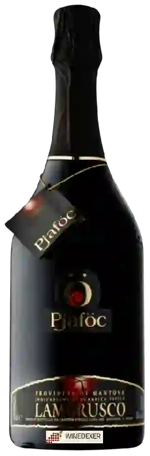 Weingut Cantine Virgili Luigi - Pjaföc Lambrusco Provincia di Mantova