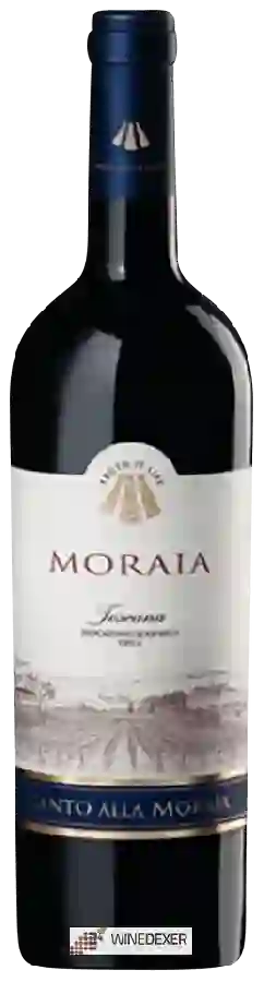 Weingut Canto Alla Moraia - Moraia