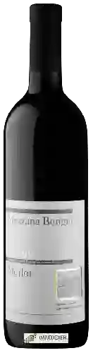 Weingut Cantonale di Mezzana - Mezzana Bongio Merlot