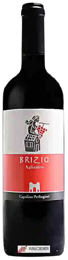 Weingut Capolino Perlingieri - Brizio Aglianico Weingut Capolino Perlingieri - Brizio Aglianico