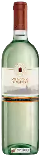 Weingut Cantina Valle Tritana - Verdicchio di Matelica