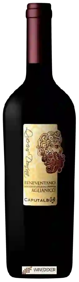 Weingut Caputalbus - Quercus Domina Beneventano Aglianico Weingut Caputalbus - Quercus Domina Beneventano Aglianico