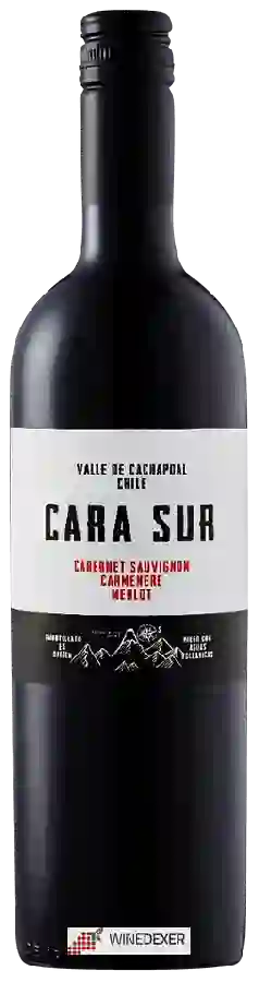 Weingut Cara Sur - Tinto Weingut Cara Sur - Tinto
