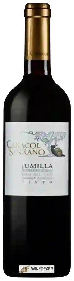 Weingut Caracol Serrano - Tinto