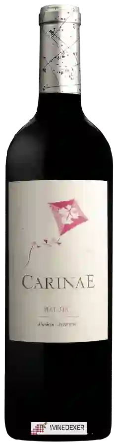 Weingut Carinae - Malbec