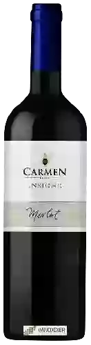Weingut Carmen - Insigne Merlot