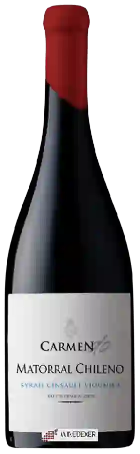 Weingut Carmen - Matorral Chileno Syrah - Cinsault - Viognier Weingut Carmen - Matorral Chileno Syrah - Cinsault - Viognier