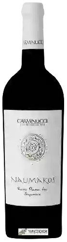 Weingut Carminucci - Naumakos Rosso Piceno Superiore