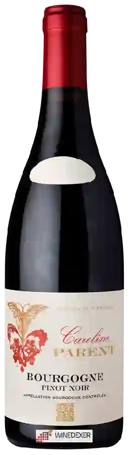 Weingut Caroline Parent - Bourgogne Pinot Noir Weingut Caroline Parent - Bourgogne Pinot Noir