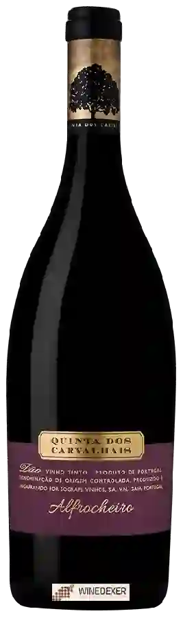 Weingut Quinta dos Carvalhais - Alfrocheiro Dão Weingut Quinta dos Carvalhais - Alfrocheiro Dão