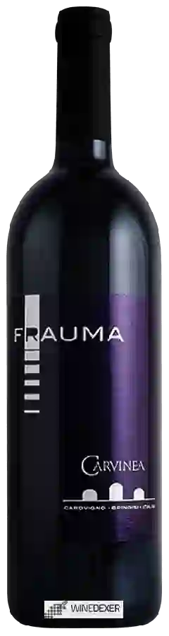 Weingut Carvinea - Frauma Weingut Carvinea - Frauma