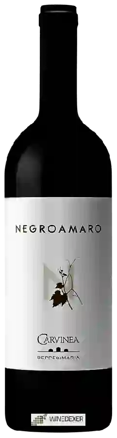 Weingut Carvinea - Negroamaro Weingut Carvinea - Negroamaro