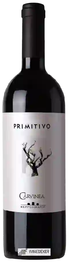 Weingut Carvinea - Primitivo Weingut Carvinea - Primitivo