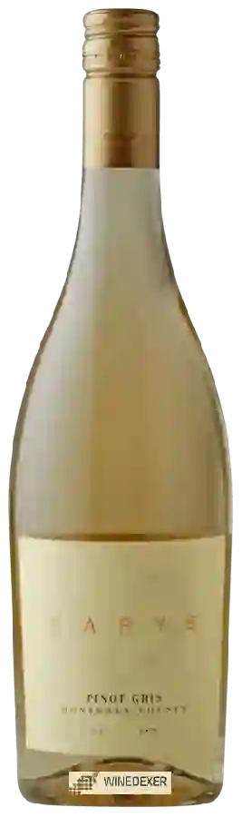 Weingut Carys - Pinot Gris