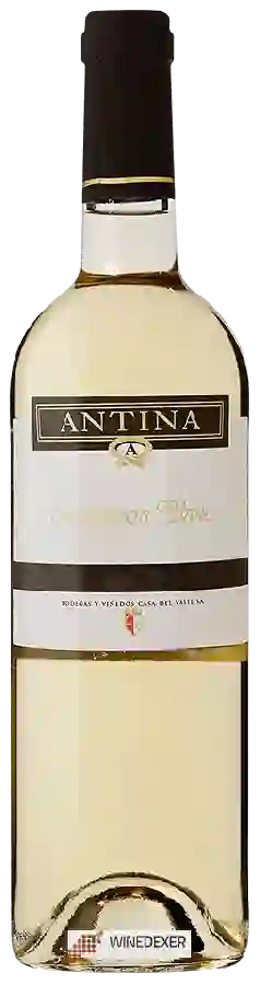 Weingut Casa del Valle - Antina Sauvignon Blanc