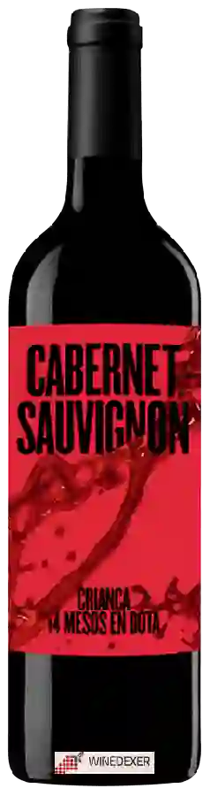 Weingut Casa Mariol - Criança Cabernet Sauvignon Weingut Casa Mariol - Criança Cabernet Sauvignon