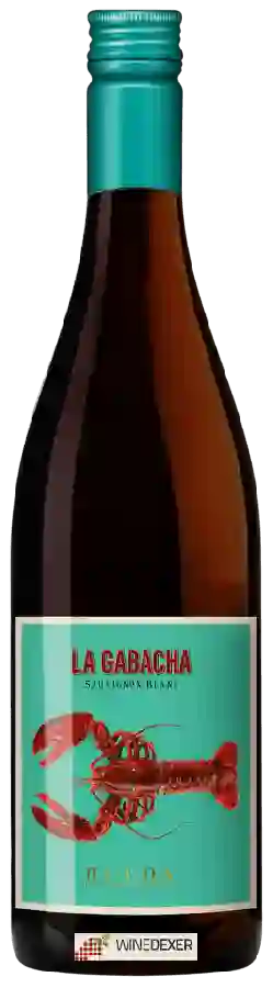 Weingut Casa Rojo - La Gabacha Sauvignon Blanc