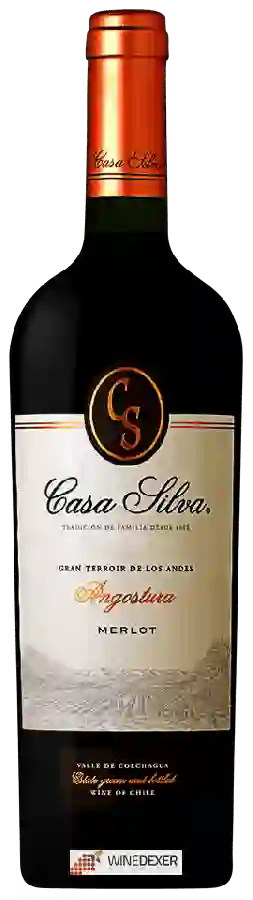 Weingut Casa Silva - Gran Terroir de Los Andes Angostura Merlot