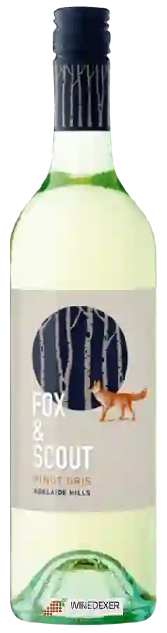 Weingut Fox & Scout - Pinot Gris