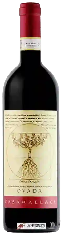 Weingut Casa Wallace - Ovada Weingut Casa Wallace - Ovada