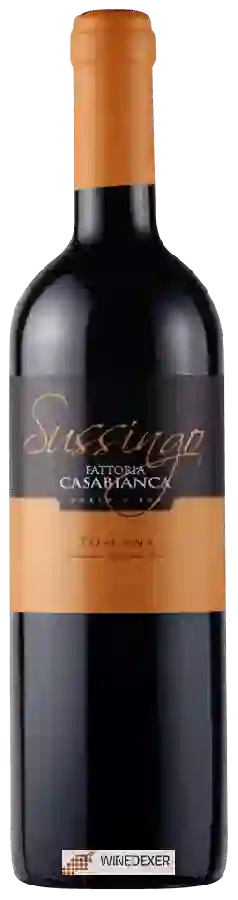 Weingut Fattoria Casabianca - Sussingo Weingut Fattoria Casabianca - Sussingo