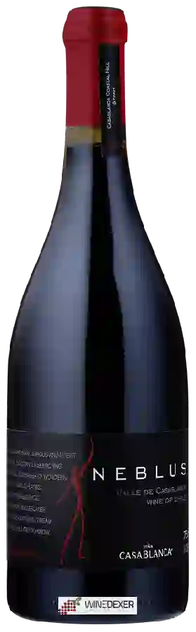 Weingut Casablanca - Neblus Weingut Casablanca - Neblus