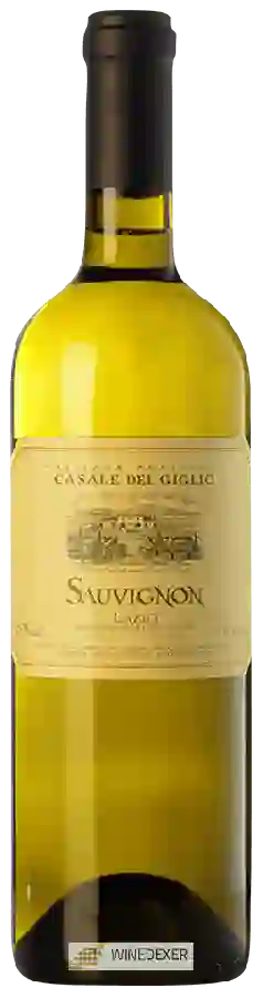 Weingut Casale del Giglio - Sauvignon Lazio Weingut Casale del Giglio - Sauvignon Lazio