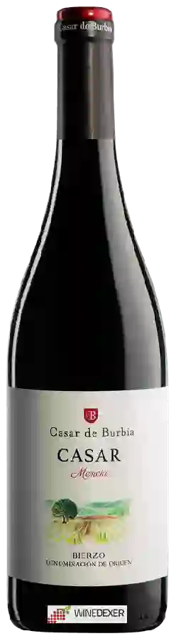 Weingut Casar de Burbia - Casar Mencía