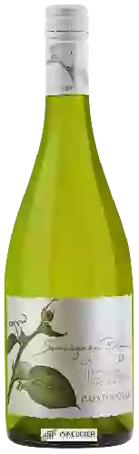 Weingut Casas del Bosque - La Cantera Sauvignon Blanc