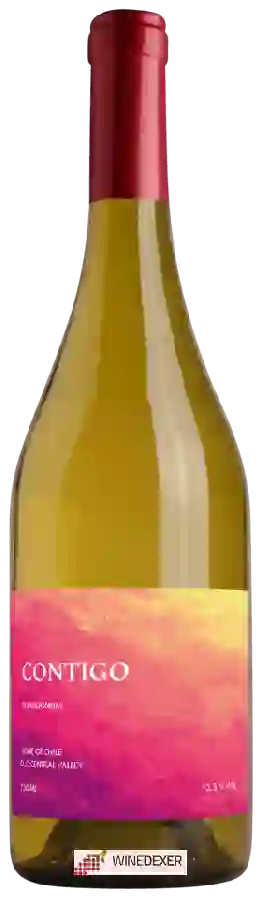 Weingut Casas del Toqui - Contigo Chardonnay