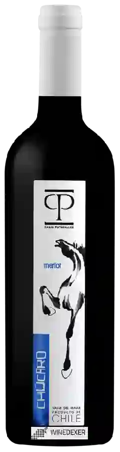 Weingut Casas Patronales - Merlot Chúcaro