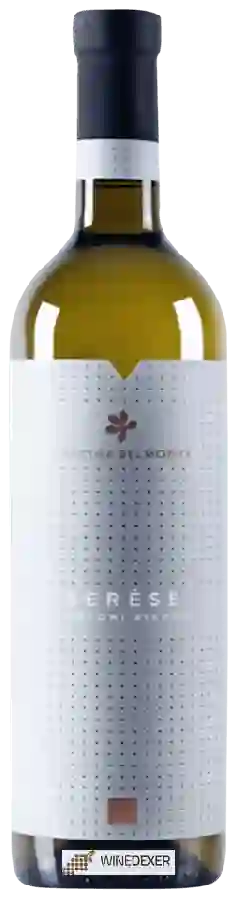 Weingut Cascina Belmonte - Serése Weingut Cascina Belmonte - Serése