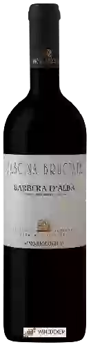Weingut Cascina Bruciata - Barbera d'Alba