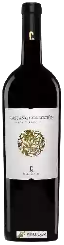 Weingut Castaño - Castaño Colección Cepas Viejas