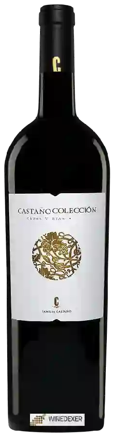 Weingut Castaño - Castaño Colección Cepas Viejas