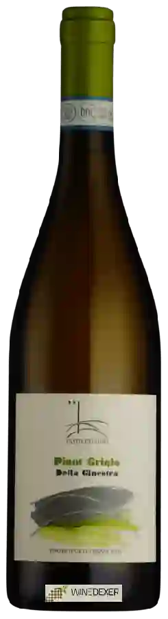 Weingut Castel del Lupo - Pinot Grigio Della Ginestra