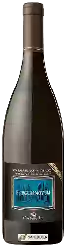 Weingut Castelfeder - Burgum Novum Chardonnay Riserva