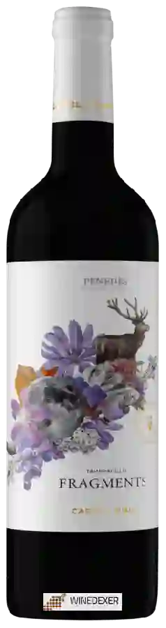 Weingut Castell d'Age - Fragments Tempranillo Weingut Castell d'Age - Fragments Tempranillo