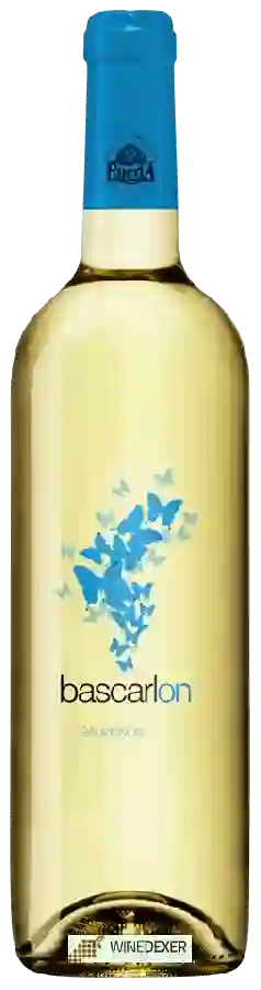 Weingut Cuatro Rayas - Bascarlon Sauvignon