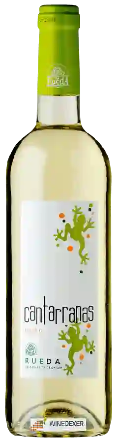 Weingut Cuatro Rayas - Cantarranas Verdejo