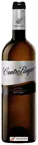 Weingut Cuatro Rayas - Sauvignon