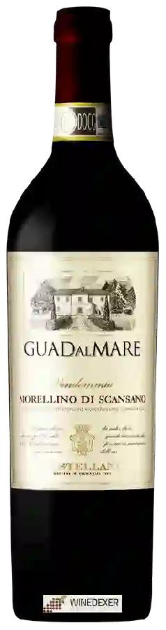 Weingut Castellani - Guadalmare Morellino di Scansano Weingut Castellani - Guadalmare Morellino di Scansano